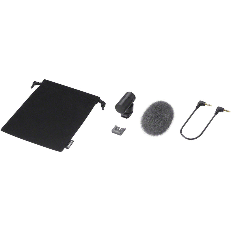 Microphone Sony ECM-G1