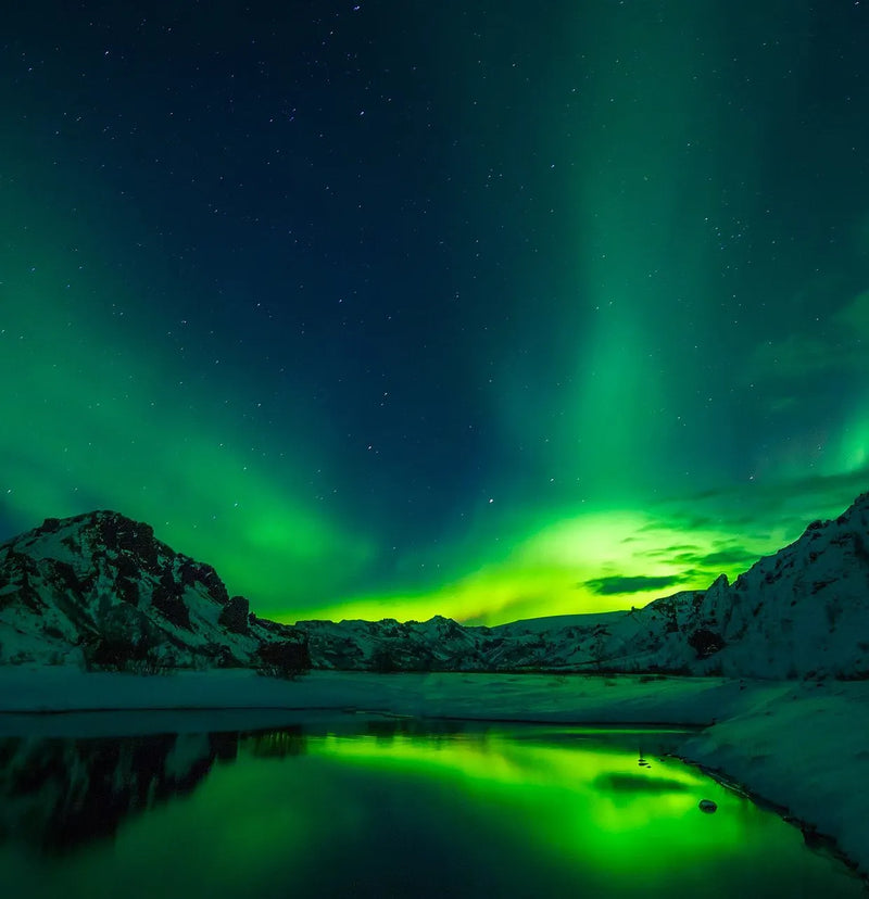 Miops Smart+ Trigger for Sony S2 (Sony E)