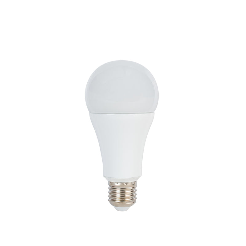 Lampe LED Promaster 14W/5600K/E27