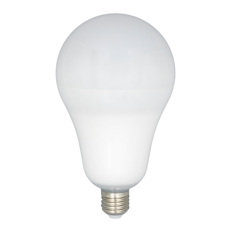 Promaster LED bulb