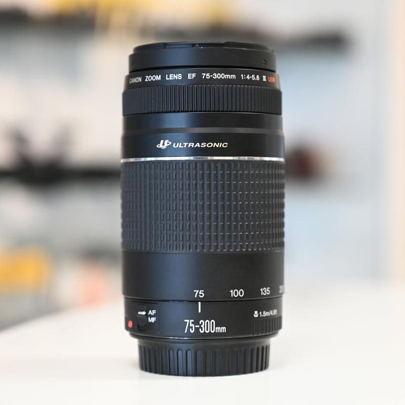 Canon EF 75-300mm F4-5.6 III USM Usagé