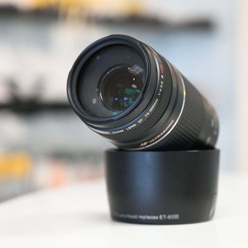 Canon EF 75-300mm F4-5.6 III USM Usagé