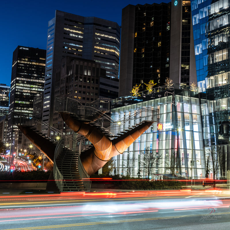 Sortie photo Art public de Montréal de nuit