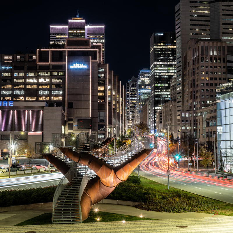 Sortie photo Art public de Montréal de nuit