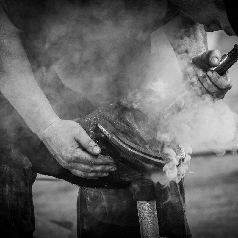 Forge and shoeing competition photography