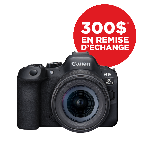Canon EOS R6 Mark II / RF 24-105mm STM