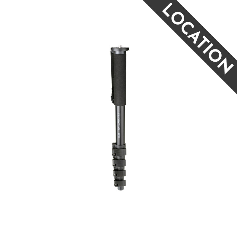 Location - Monopod Trident et Tête Manfrotto 234RC