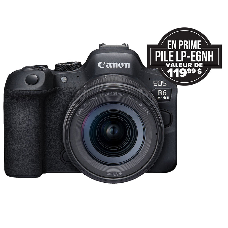 Canon EOS R6 Mark II / RF 24-105mm STM